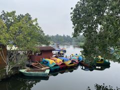 -桂湖森林公园