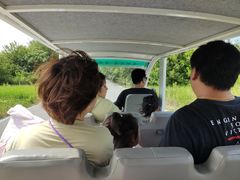 -盐城丹顶鹤湿地生态旅游区
