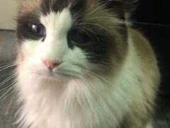 -零纪元VR体验馆·桌游(黄浦店)