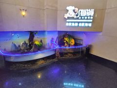 -渔公码头海货全海鲜自助(海滨旅游路店)