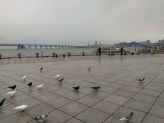 -星海广场