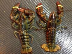 -宜宾海鲜酒家·三十年老字号