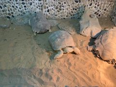 -上海大自然野生昆虫馆
