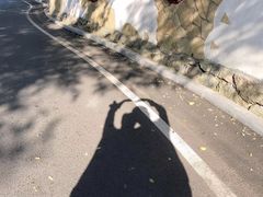 -棒棰岛宾馆景区