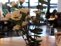 -gaga(深圳南山益田假日广场店)