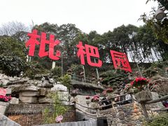 -枇杷园食为鲜火锅(南山店)