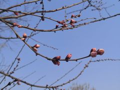 -三里河公园