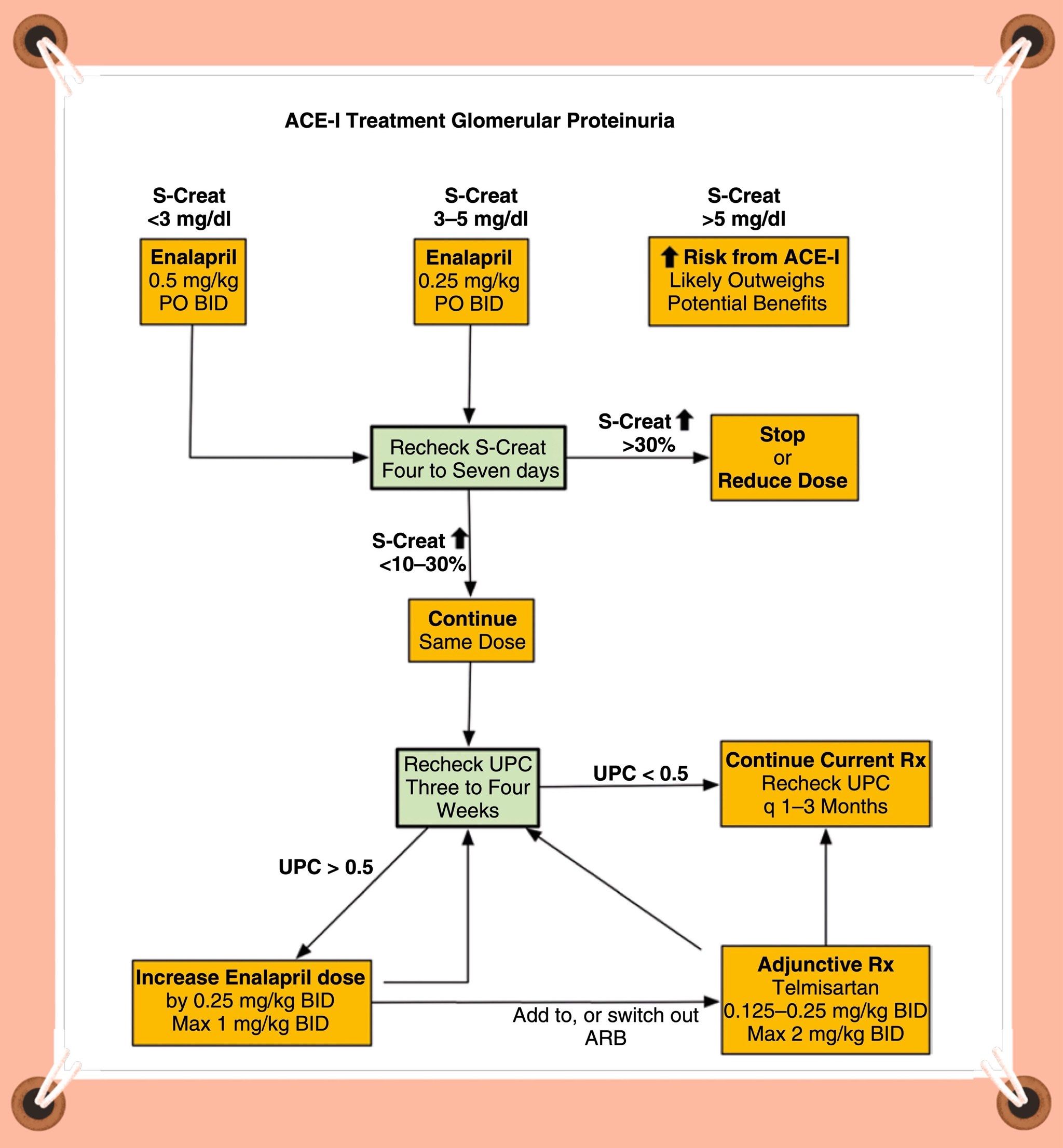 肾素血管紧张素醛固酮系统(raas)以降低肾小球蛋白尿的潜在治疗方案