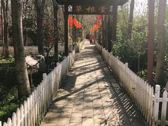 -草根堂农场