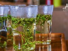 -帐篷客·溪龙茶谷度假酒店