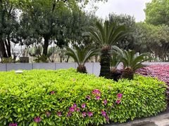 -三垟湿地