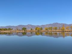 -野鸭湖国家湿地公园