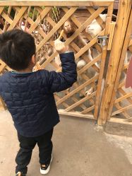 -萌宠亲子动物乐园(槐房万达店)