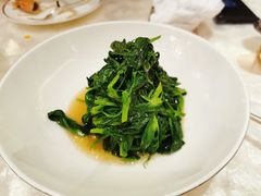 清炒豌豆尖-人间采蜜(海信广场店)