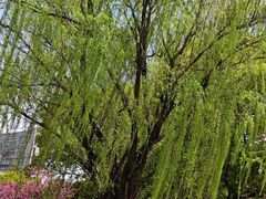 -杭州师范大学(下沙校区)