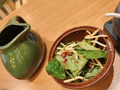 折耳根-云海肴·汽锅鸡·云南菜(东坝金隅店)