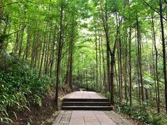 -凤栖山