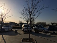 -灵山莲花公园-温泉度假区