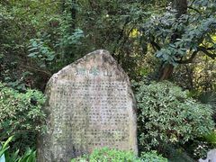 -十八棵（老龙井）御茶园(老龙井店)