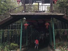 -陶祖圣境风景区