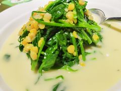 鲜豌豆瓣煮豆尖-陆壹捌餐厅(五大道店)