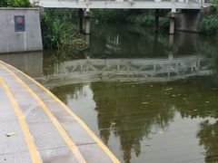 -兰溪青年公园