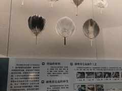 -中国扇博物馆