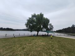 -上海月湖雕塑公园