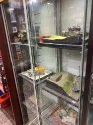 -新时模型(新街口店)