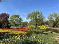 -石家庄市植物园