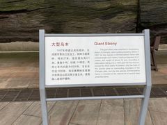 -金沙遗址博物馆
