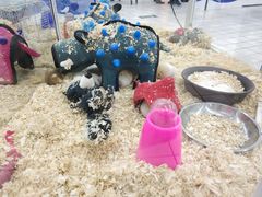 -欧尚超市苏州店停车场(金鸡湖路店)