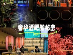 -索拉古贝(义乌北苑店)