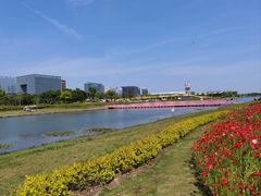 -春花秋色城市公园
