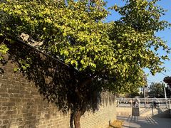 -均和墟历史街区-平和大押