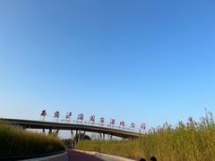 -西安浐灞国家湿地公园