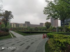 -新城控股新总部大楼