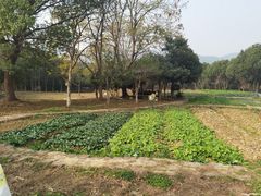 -西山人家·二十年老字号农家菜(旺山店)