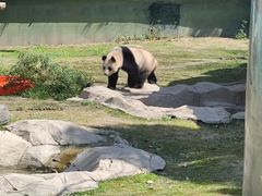 -上海野生动物园