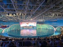 -海合安青岛极地海洋公园