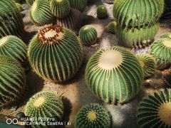 -国家植物园