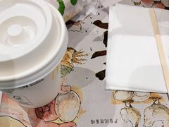 -麦当劳(北京大兴机场二层国内到达(安检外)店)