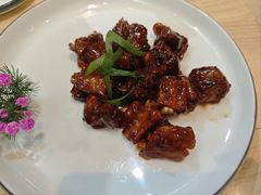 -丁老爷子苏香圆