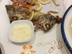 -骏莱海鲜鱼港(五角场店)
