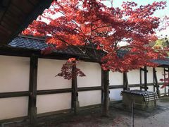 -京都御所