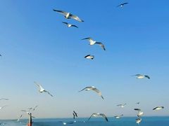 -海驴岛(荣成市)
