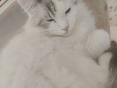 -平行世界·猫咖(首经贸店)