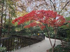 -中山公园