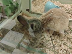 -龙猫仔乐园(惠福东路店)