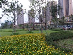 -府河摄影公园